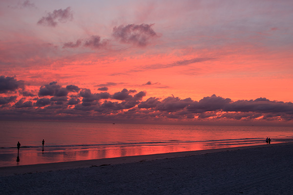 East and Gulf Coasts