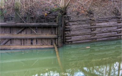Celebrating the D&R Canal