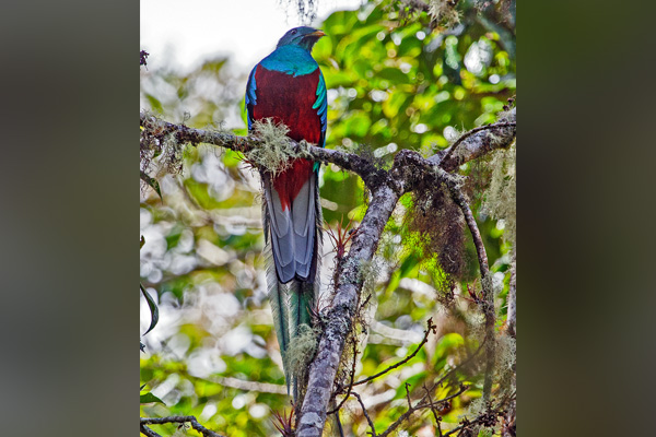 Costa Rica