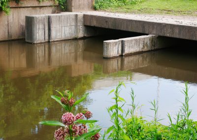 Canal emerges from culvert Willow Street