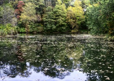 Fall Kingston Basin