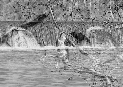 Osprey Crow superimposed on Carnegie Lake Falls