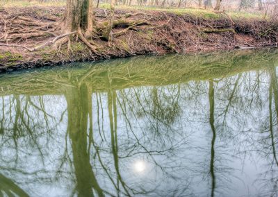 Six Mile Run tree and moon reflection